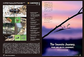 Amazon.co.jp: BRUTUS(ブルータス) 2024年 8月1日号 No.1012